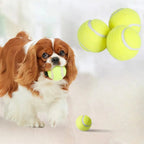 ALL FOR PAWS Automatic Dog Ball Launcher (4 pcs)