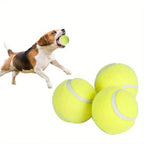 ALL FOR PAWS Automatic Dog Ball Launcher (4 pcs)