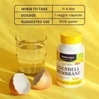 Eggshell Membrane 500 mg NEM Joint Support Supplement 120 Veggie Capsules – Non-GMO Gluten Free – New