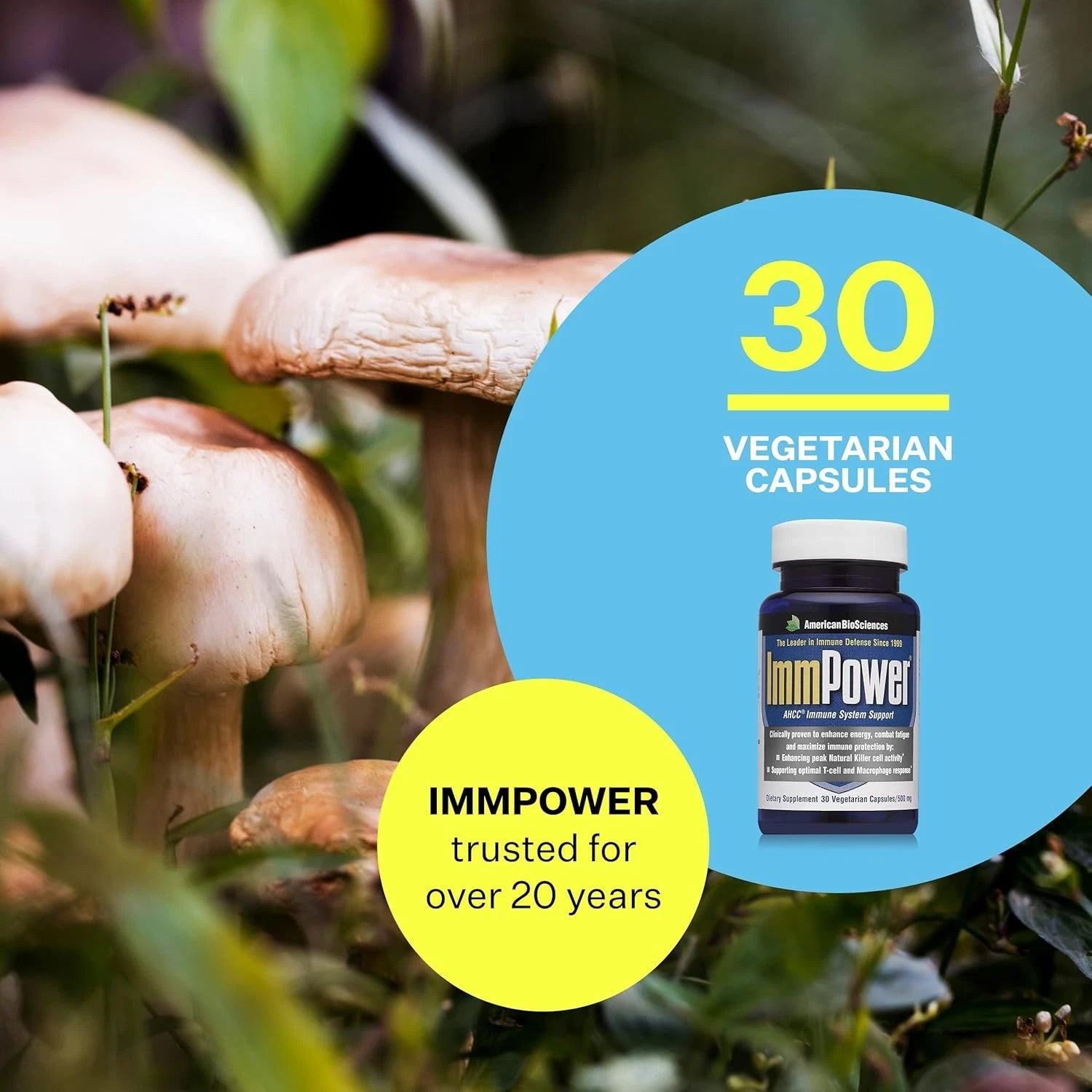 AHCC Immune System Support Herbal Supplement 500 mg 30 Capsules – Wellness Supplement – New